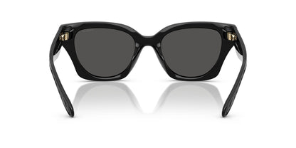 COACH HC8418U CAD18 500287 53 SUNGLASSES