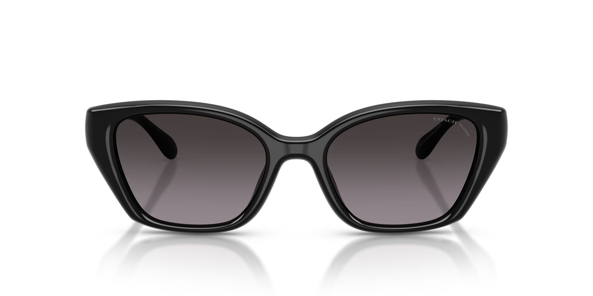 COACH HC8434U CBY62 5002F4 53 SUNGLASSES