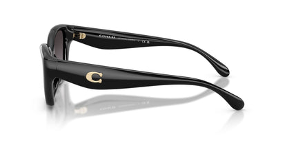 COACH HC8434U CBY62 5002F4 53 SUNGLASSES