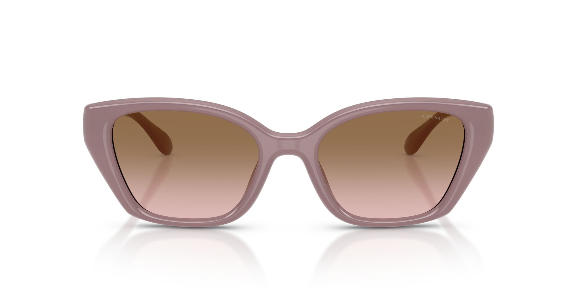 COACH HC8434U CBY91 549511 53 SUNGLASSES