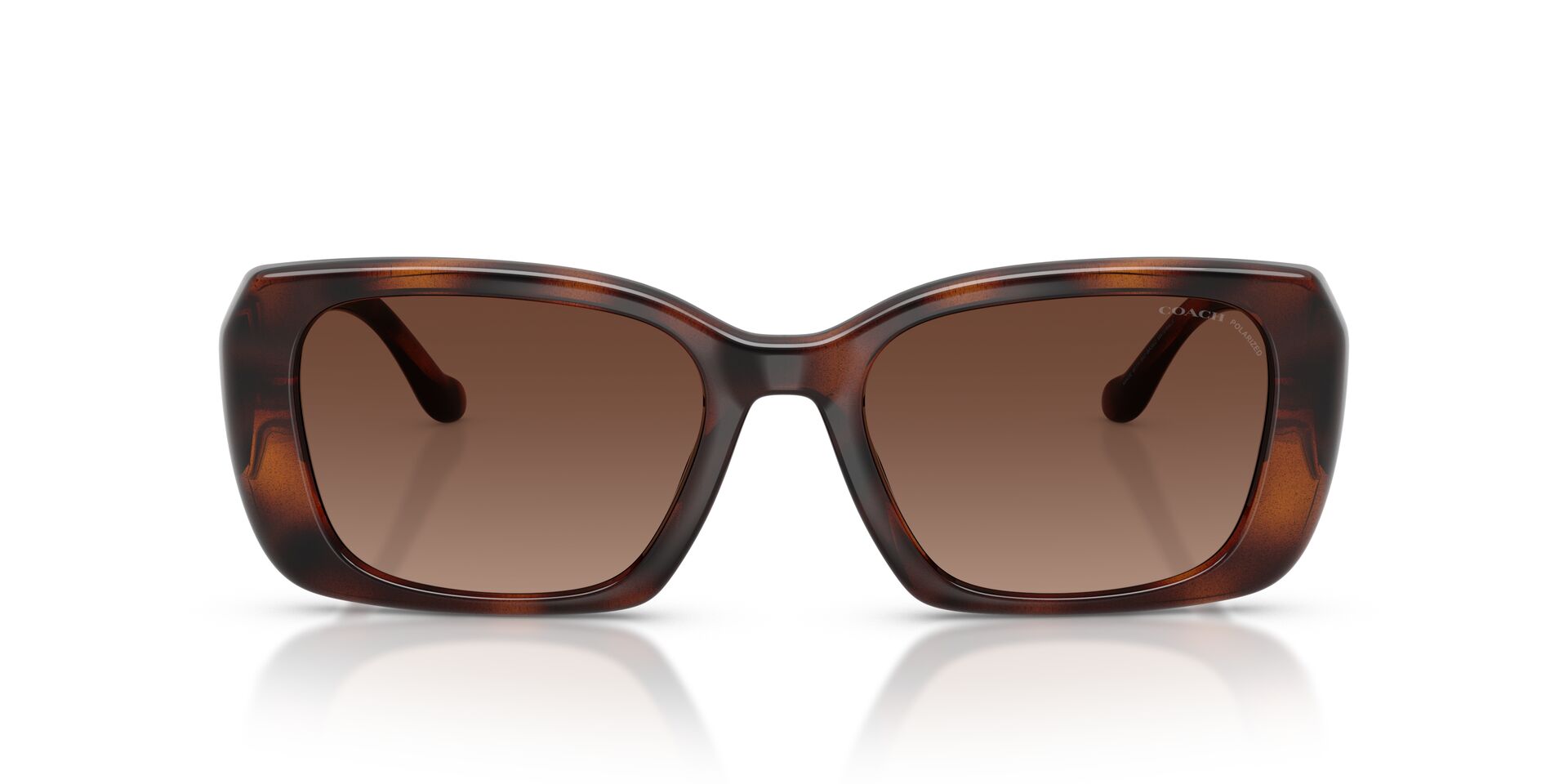 COACH HC8435U CBY83 5120T5 54 SUNGLASSES