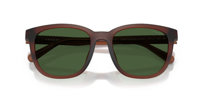 COACH HC8442U CCA00 591171 54 SUNGLASSES