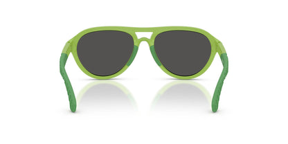 BURBERRY JB4005U 418287 51 SUNGLASSES