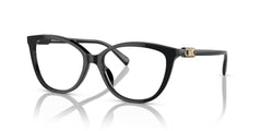 MICHAEL KORS MK4109U 3005 52 FRAME