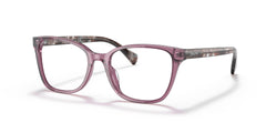 RALPH LAUREN RA7137U 6008 53 FRAME