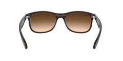 RAYBAN RB4202 6073 13 55 SUNGLASSES