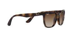 RAYBAN RB4390I 710/13 54 SUNGLASSES