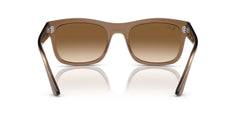 RAYBAN 0RB4428  664051 Light Brown Full Rim 56 145 Propionate SUNGLASSES