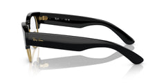 RAYBAN 0RX0316V 2000 50 FRAME