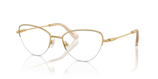 SWAROVSKI SK1010 4004 53 FRAME