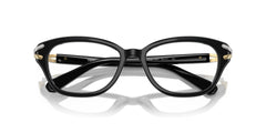 SWAROVSKI SK2032 1001 52 FRAME