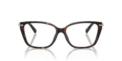 TIFFANY & CO 0TF2248K 8404 53 FRAME