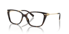 TIFFANY & CO 0TF2248K 8404 53 FRAME