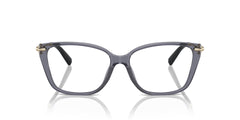 TIFFANY & CO TF2248K 8405 53 FRAME