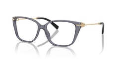 TIFFANY & CO TF2248K 8405 53 FRAME