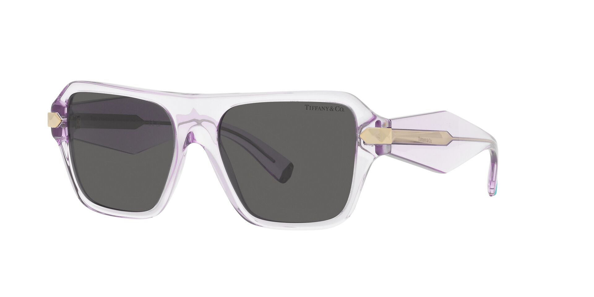 TIFFANY & CO TF4204 8376S4 54 SUNGLASSES