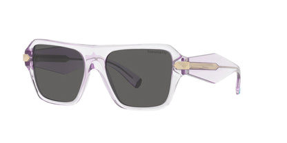 TIFFANY & CO TF4204 8376S4 54 SUNGLASSES