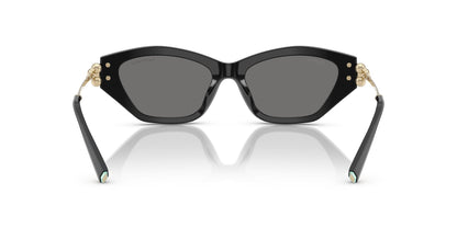 TIFFANY & CO TF4231U 800181 53 SUNGLASSES
