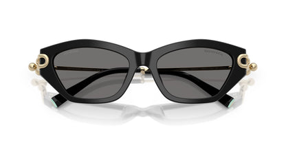 TIFFANY & CO TF4231U 800181 53 SUNGLASSES