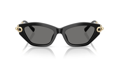 TIFFANY & CO TF4231U 800181 53 SUNGLASSES