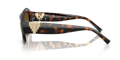 TIFFANY & CO TF4233U 8015T5 54 SUNGLASSES
