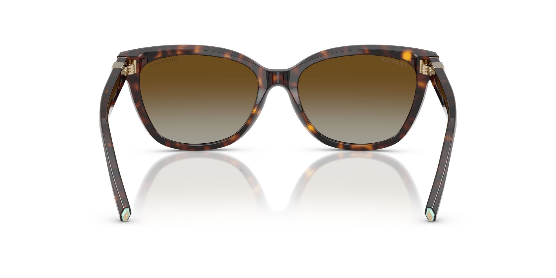 TIFFANY & CO TF4237B 8015T5 55 SUNGLASSES