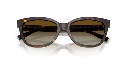 TIFFANY & CO TF4237B 8015T5 55 SUNGLASSES