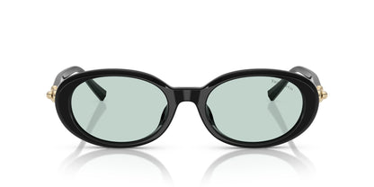 TIFFANY & CO TF4242D 8001D9 54 SUNGLASSES