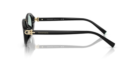 TIFFANY & CO TF4242D 8001D9 54 SUNGLASSES