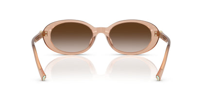 TIFFANY & CO TF4242D 8268 3B 54 SUNGLASSES