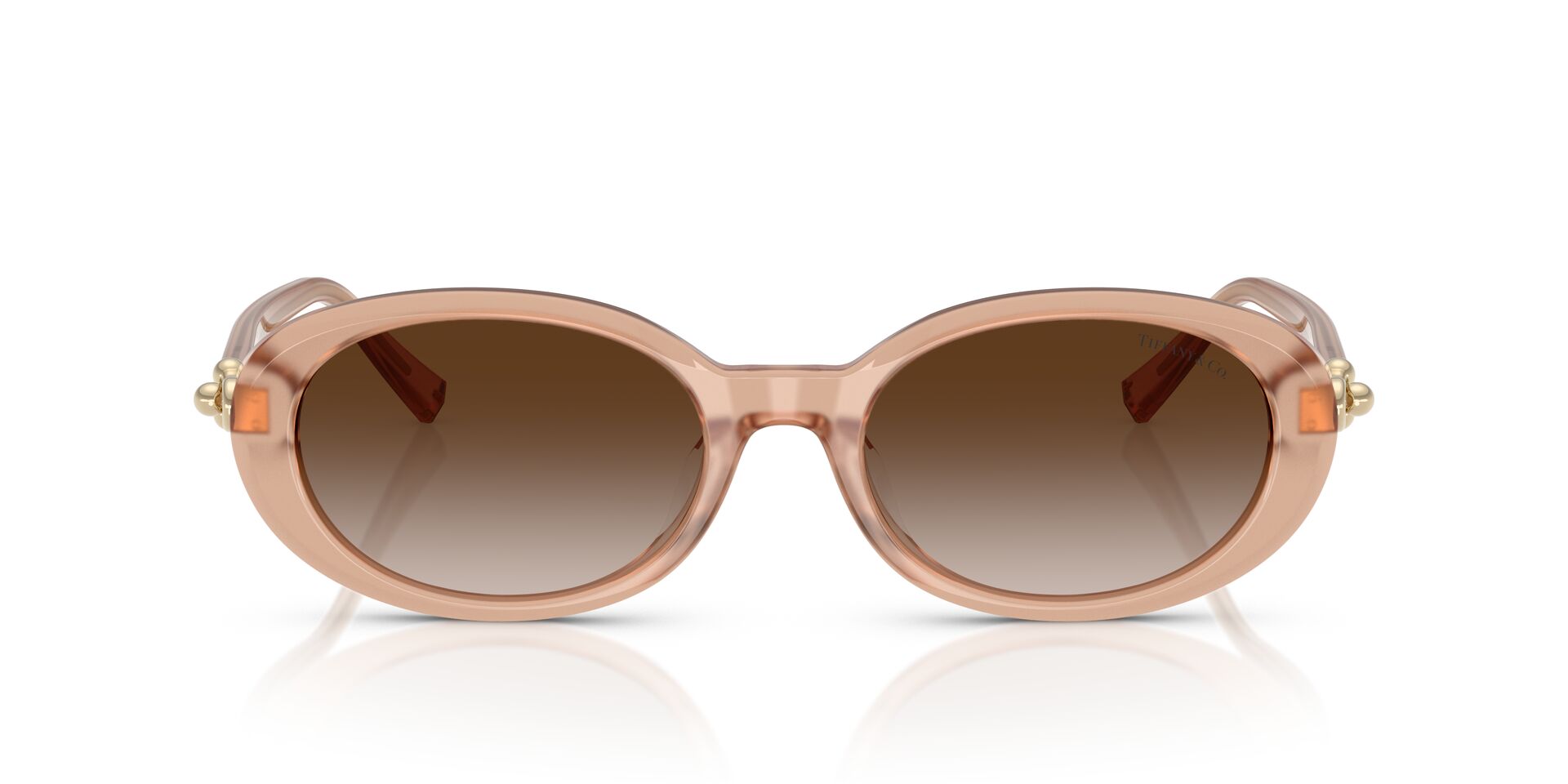 TIFFANY & CO TF4242D 8268 3B 54 SUNGLASSES