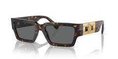 VERSACE VE4459 108/87 54 SUNGLASSES