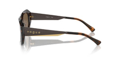 VOGUE VO5554S W65673 54 SUNGLASSES