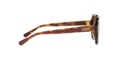 COACH HC8335U C7989 512013 53 SUNGLASSES
