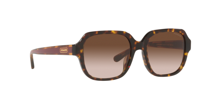 COACH HC8335U C7989 512013 53 SUNGLASSES