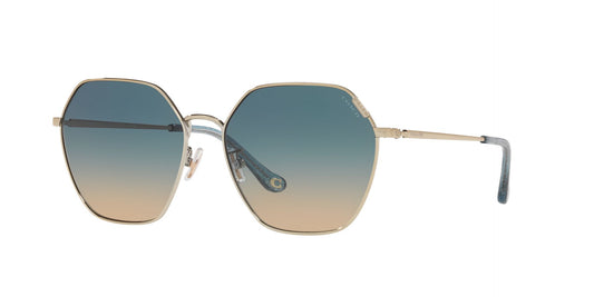 COACH 0HC7132 900579 58 SUNGLASSES