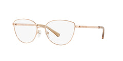 MICHAEL KORS MK3030 BUENA VISTA 1108 54 FRAME