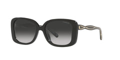 COACH 0HC8334U 50023C 53 SUNGLASSES