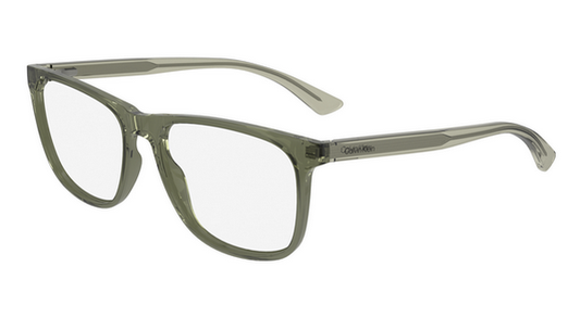 CALVIN KLEIN CK23548 330 53 FRAME