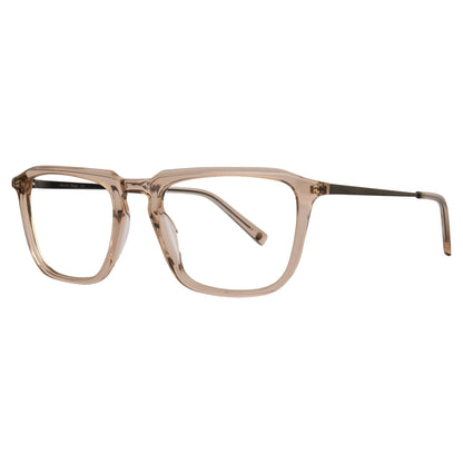 ROSVIN BUGS ROGER-4 C2 53 FRAME