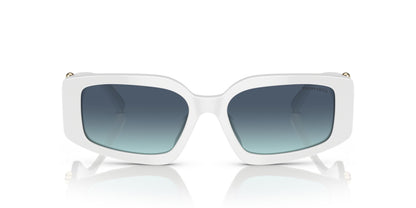 TIFFANY & CO TF4208U 83579S 54 SUNGLASSES