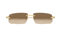 CARTIER CT0505S 003 58 SUNGLASSES