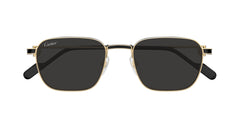 CARTIER CT0497S 006 54 SUNGLASSES