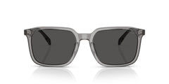 COACH HC8411U CW405 584987 55 SUNGLASSES