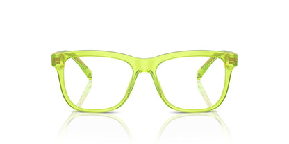 DOLCE & GABBANA DX3356 3441 49 FRAME