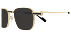 CARTIER CT0497S 006 54 SUNGLASSES