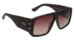 SCOTT SC3098PL C2 60 SUNGLASSES