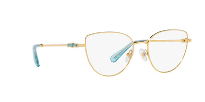 SWAROVSKI SK1007 4021 53 FRAME