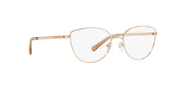 MICHAEL KORS MK3030 BUENA VISTA 1108 54 FRAME