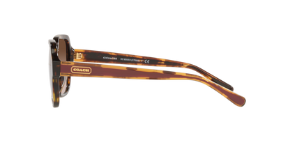 COACH HC8335U C7989 512013 53 SUNGLASSES